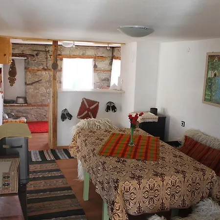House Elena Pensión *